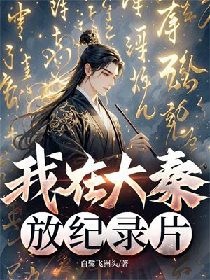 我在大秦放纪录片