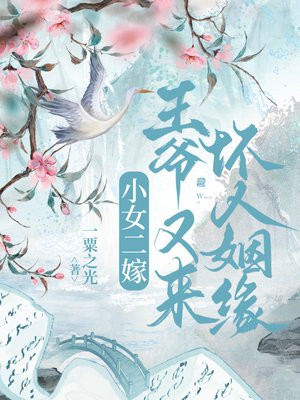 小女二嫁，王爷又来坏人姻缘