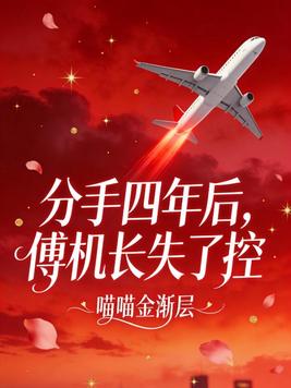 分手四年后，傅机长失了控